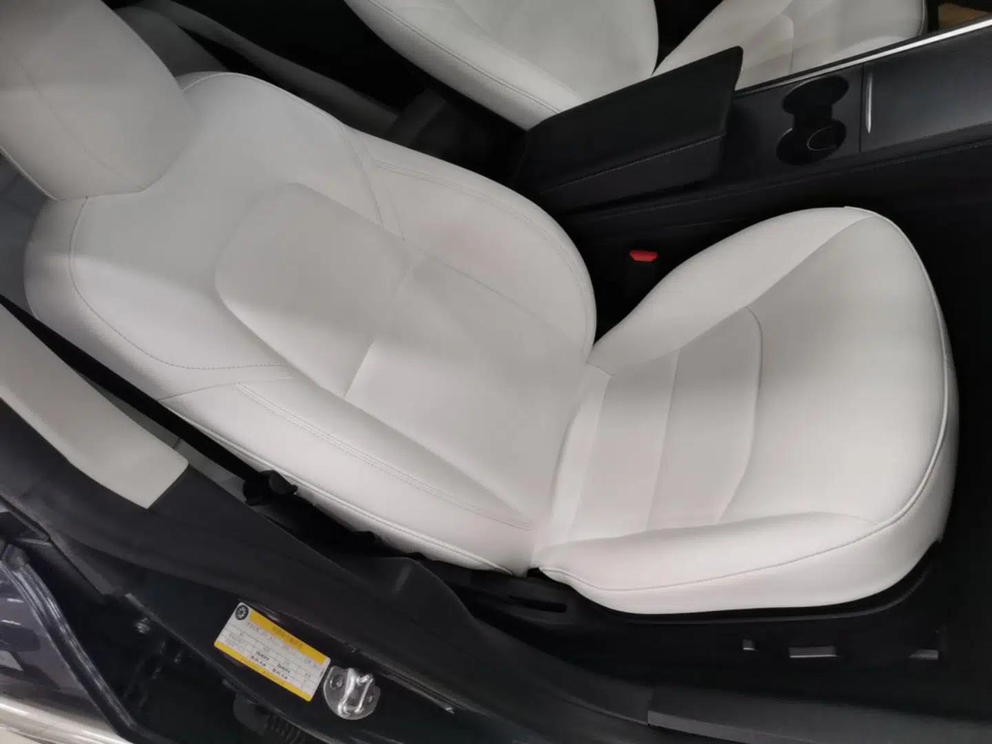 Tesla Model 3 2021 Standard Range Rear-Wheel Drive Upgraded Version 3D6 — миниатюра 23