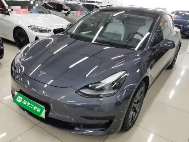 Tesla Model 3 2021 Standard Range Rear-Wheel Drive Upgraded Version 3D6