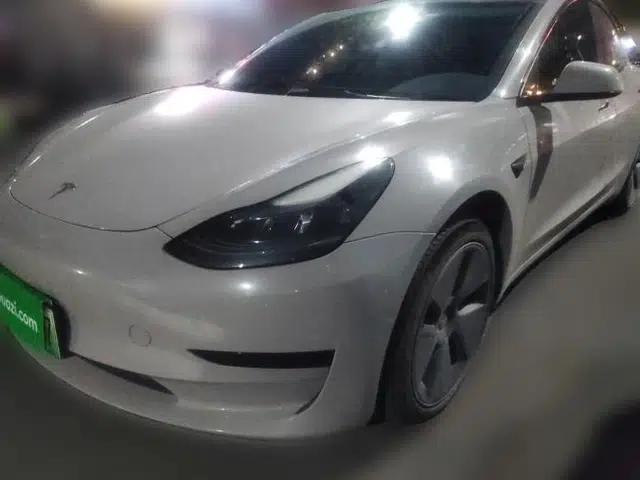 Tesla Model 3 2022 Rear-Wheel-Drive Version