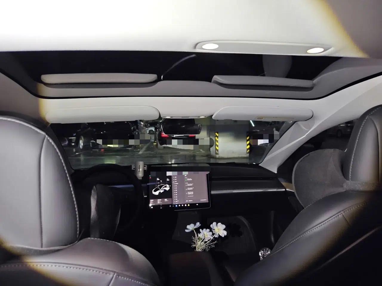 Tesla Model 3 2021 Standard Range Rear-Drive Upgraded Version — миниатюра 19