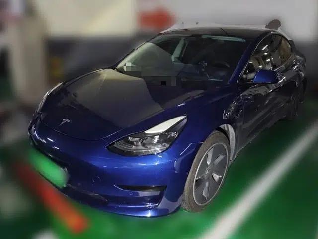 Tesla Model 3 2021 Standard Range Rear-Drive Upgraded Version