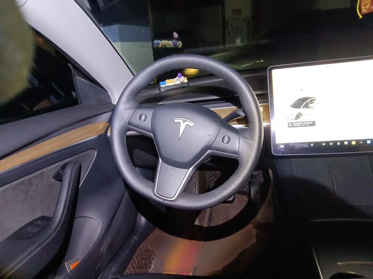 Tesla Model 3 2021 Standard Range Rear-Wheel Drive Upgraded Version 3D6 — миниатюра 11