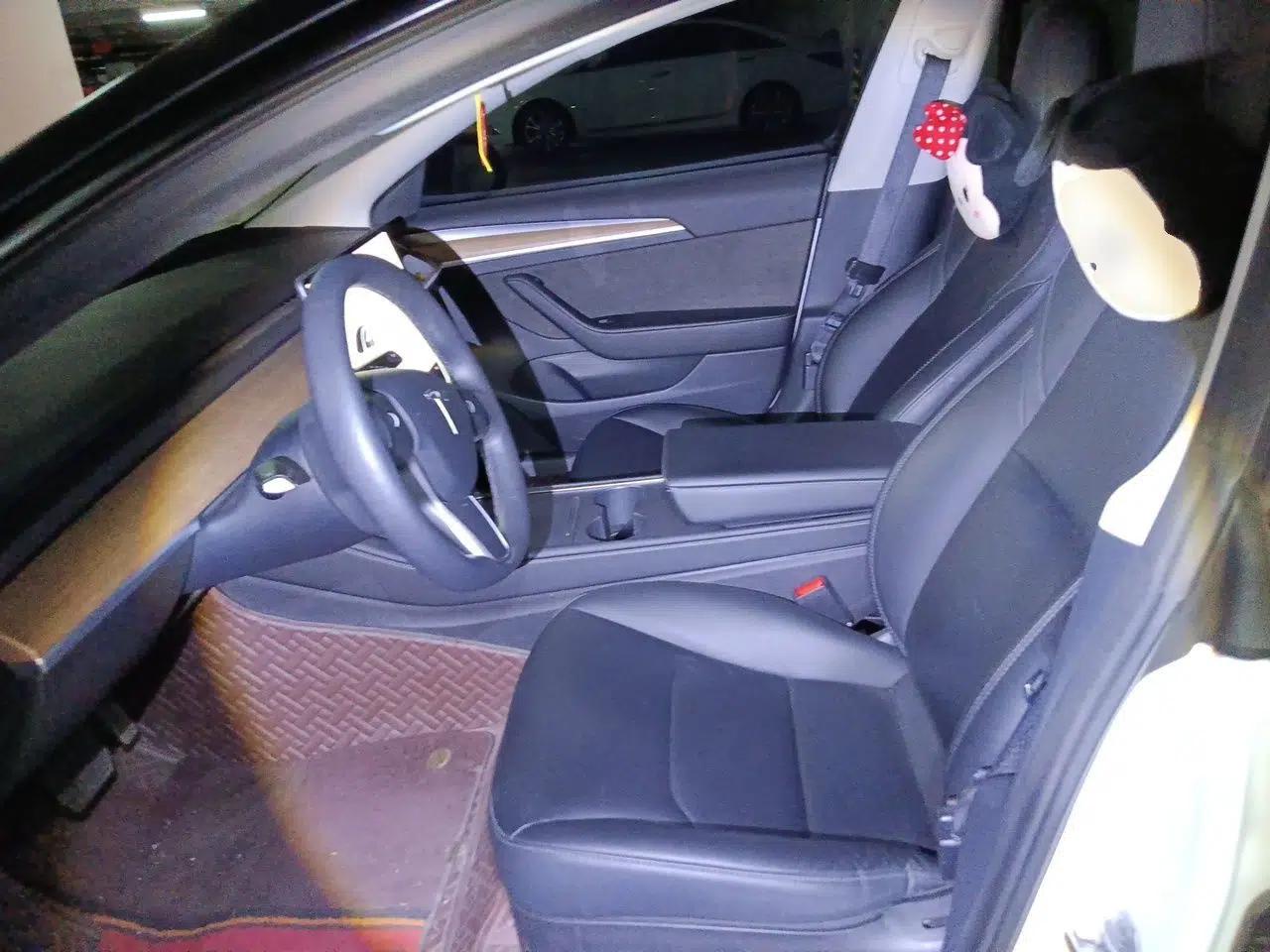 Tesla Model 3 2021 Standard Range Rear-Wheel Drive Upgraded Version 3D6 — миниатюра 16