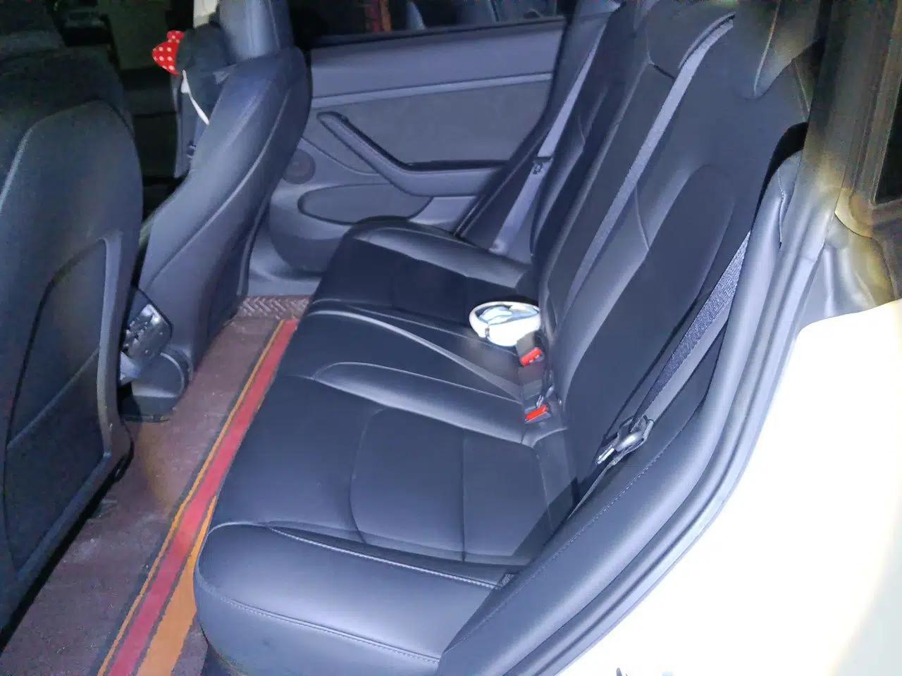 Tesla Model 3 2021 Standard Range Rear-Wheel Drive Upgraded Version 3D6 — миниатюра 18