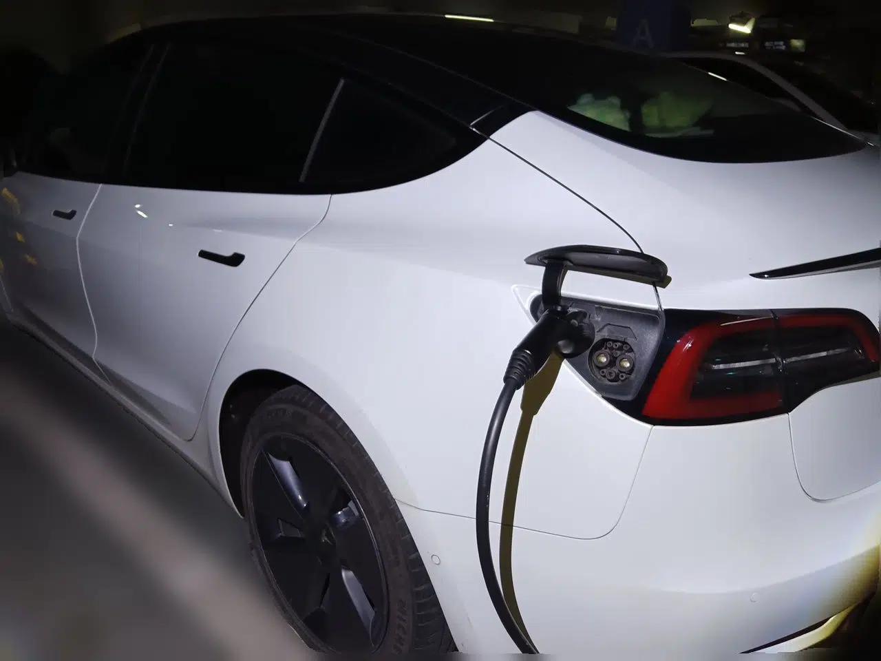 Tesla Model 3 2021 Standard Range Rear-Wheel Drive Upgraded Version 3D6 — миниатюра 4