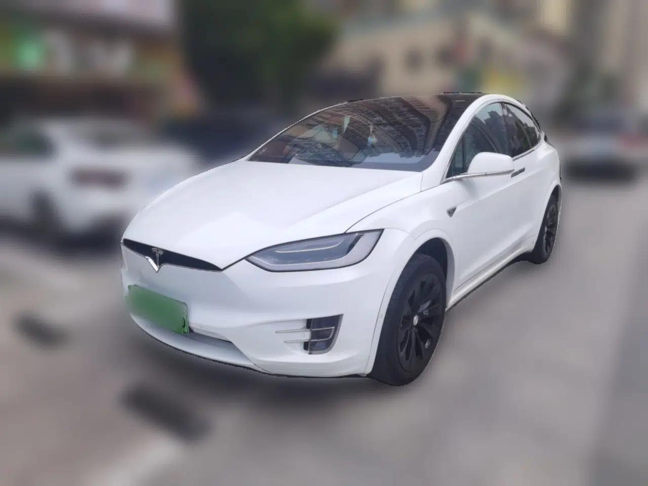Tesla Model X  — миниатюра 1