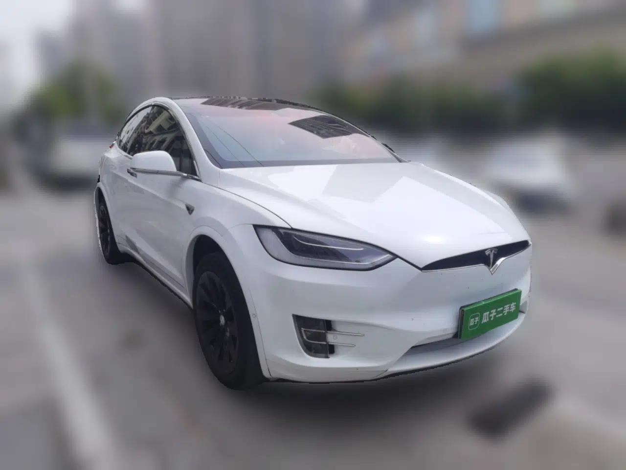 Tesla Model X  — миниатюра 3