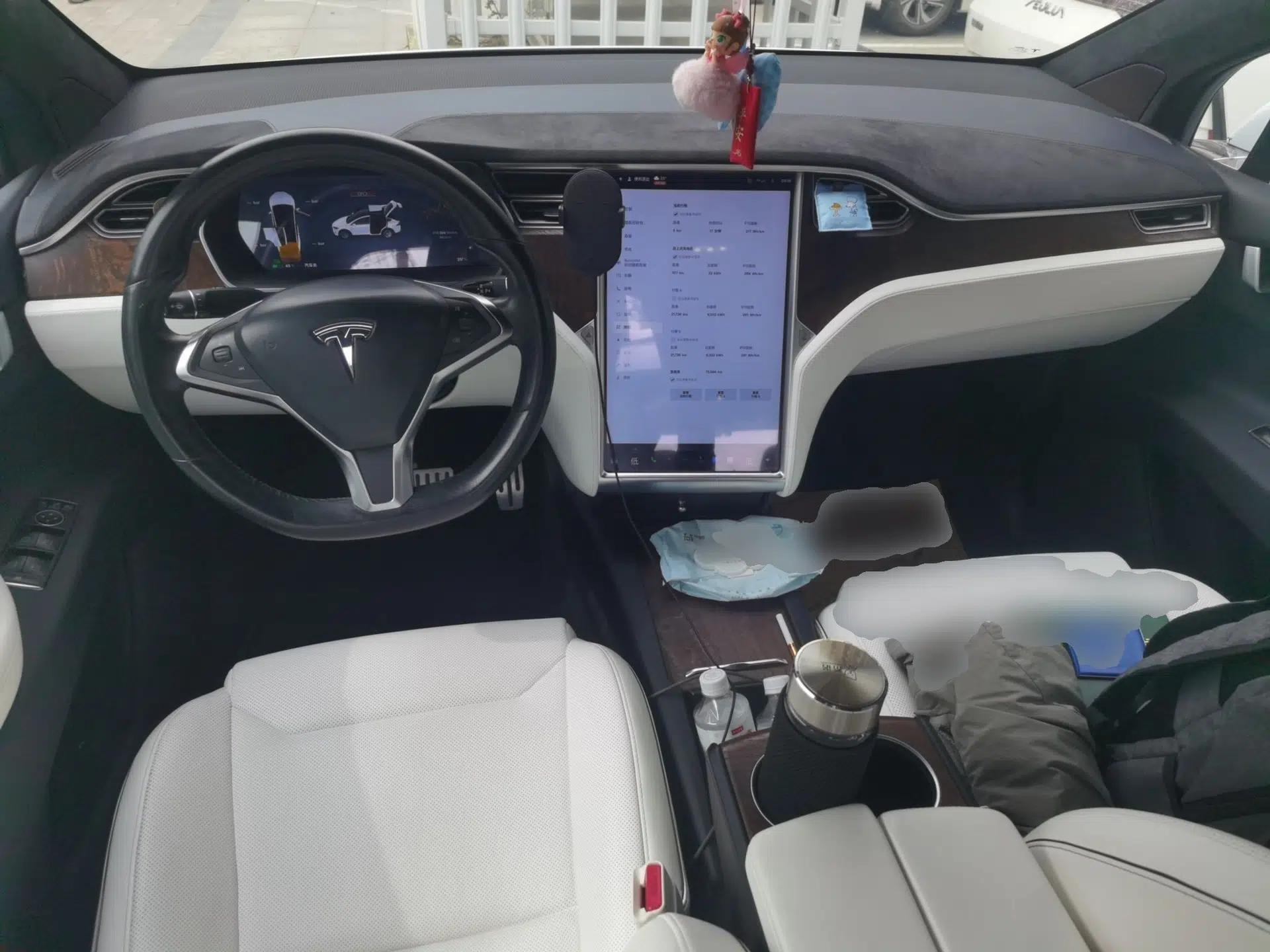 Tesla Model X  — миниатюра 10