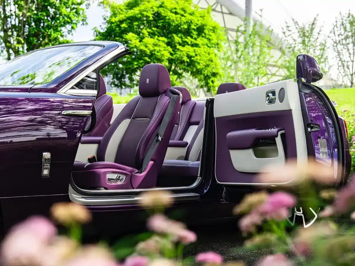 2018 Dawn 6.6T Standard Edition — миниатюра 11