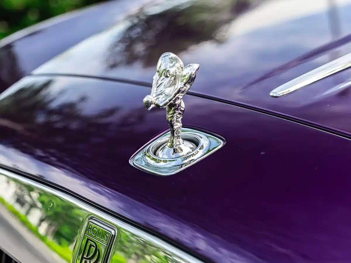 2018 Dawn 6.6T Standard Edition — миниатюра 13