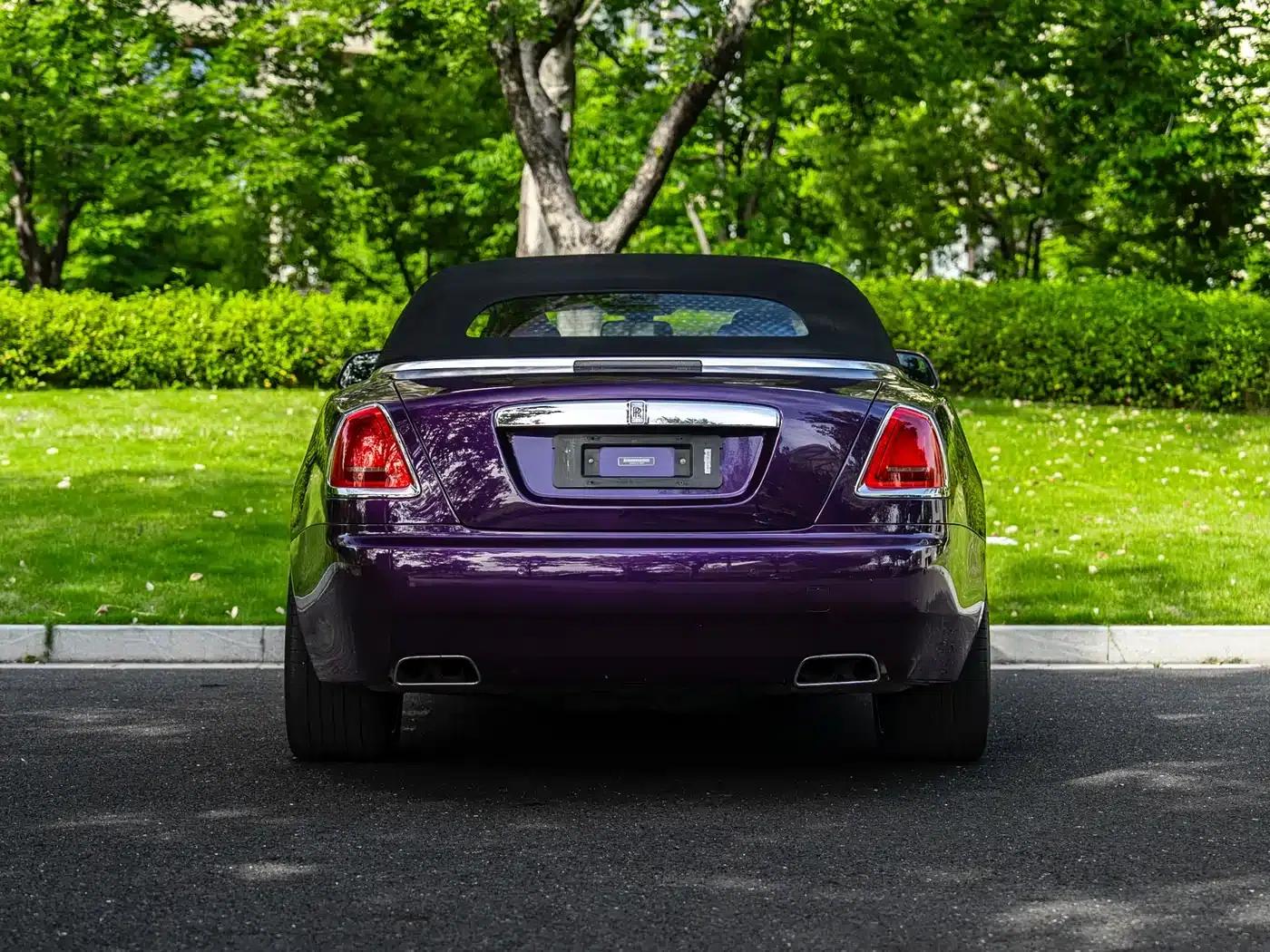 2018 Dawn 6.6T Standard Edition — миниатюра 15