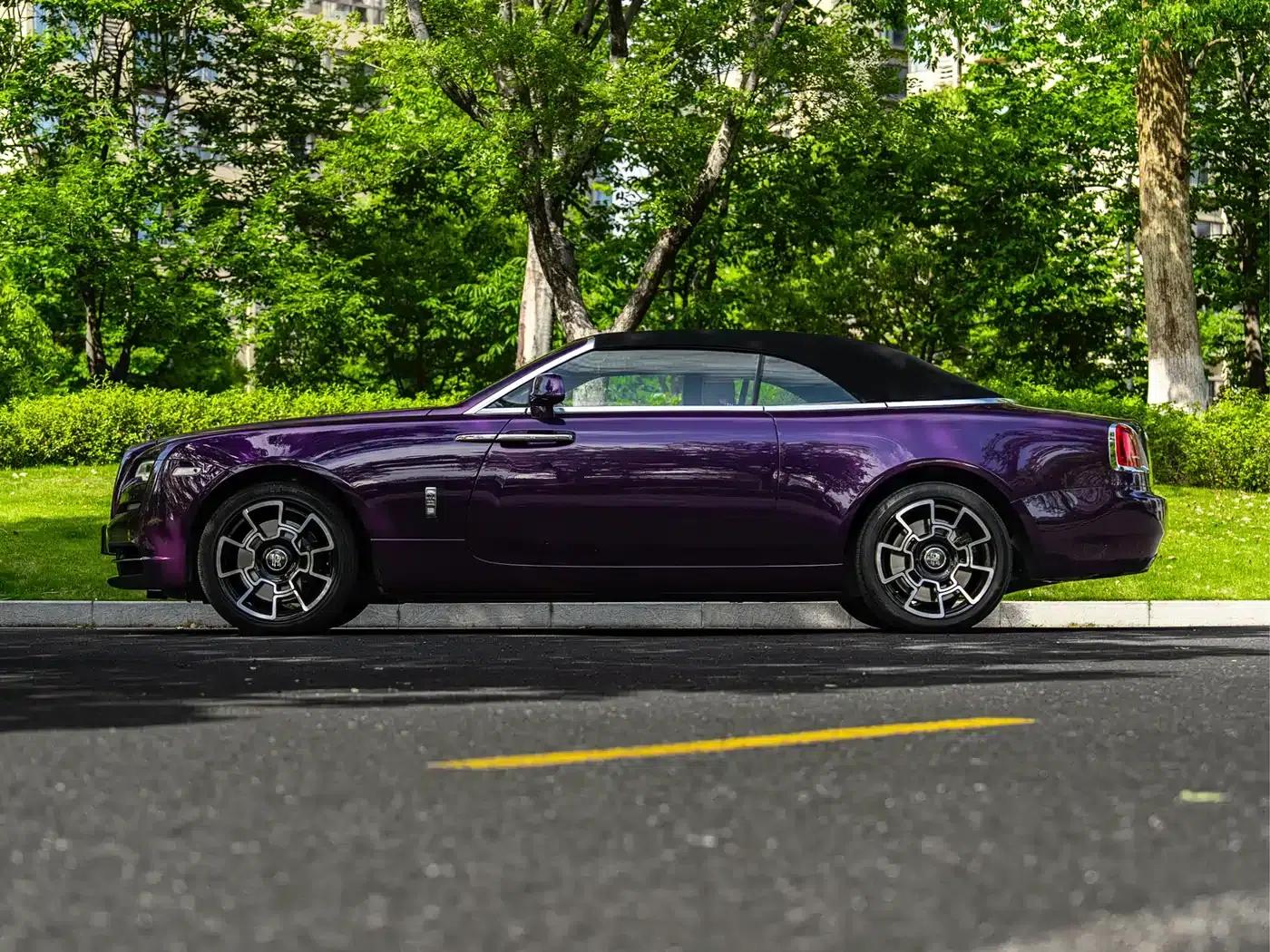 2018 Dawn 6.6T Standard Edition — миниатюра 18
