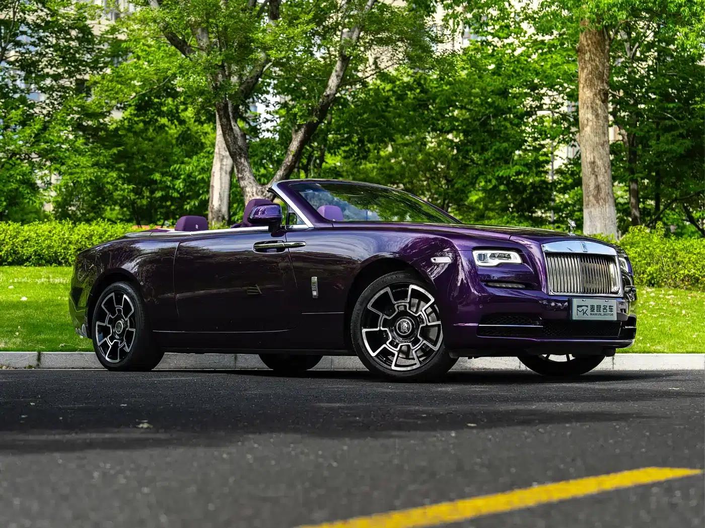 2018 Dawn 6.6T Standard Edition — миниатюра 19