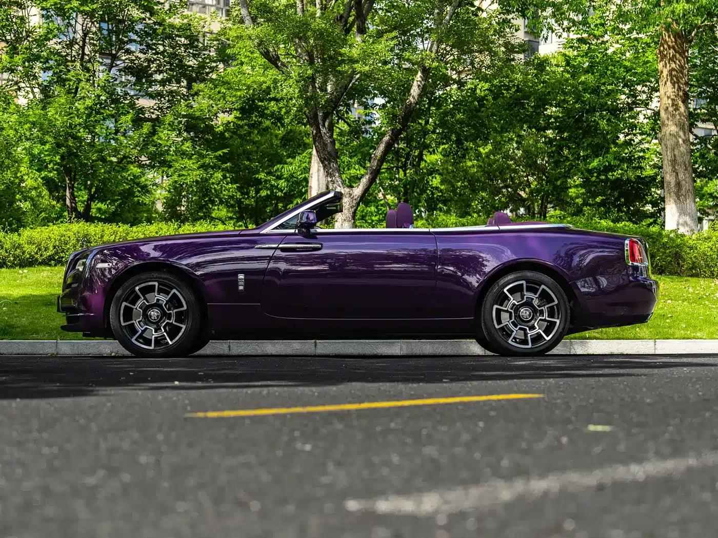 2018 Dawn 6.6T Standard Edition — миниатюра 5