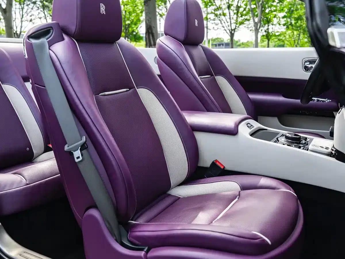 2018 Dawn 6.6T Standard Edition — миниатюра 6