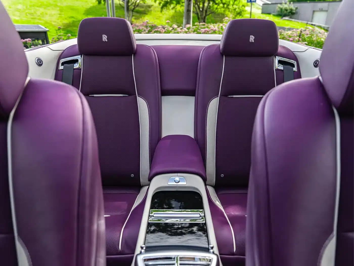 2018 Dawn 6.6T Standard Edition — миниатюра 7