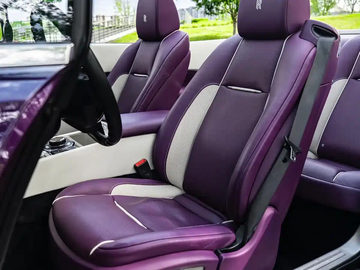 2018 Dawn 6.6T Standard Edition — миниатюра 8