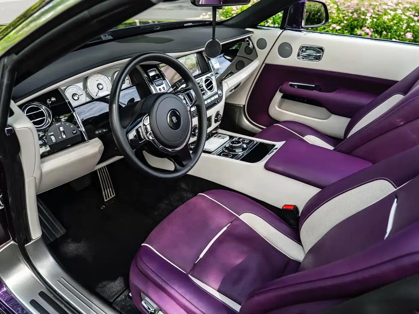 2018 Dawn 6.6T Standard Edition — миниатюра 9