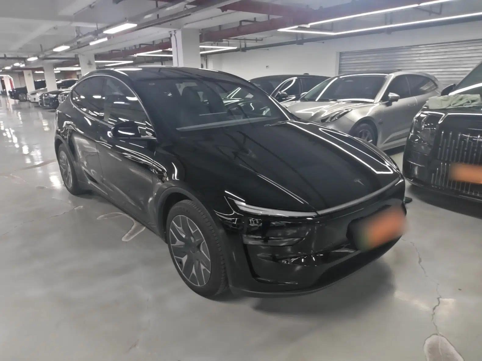 Tesla Model Y L 2025 Model Long-Range All-Wheel-Drive Version — миниатюра 3