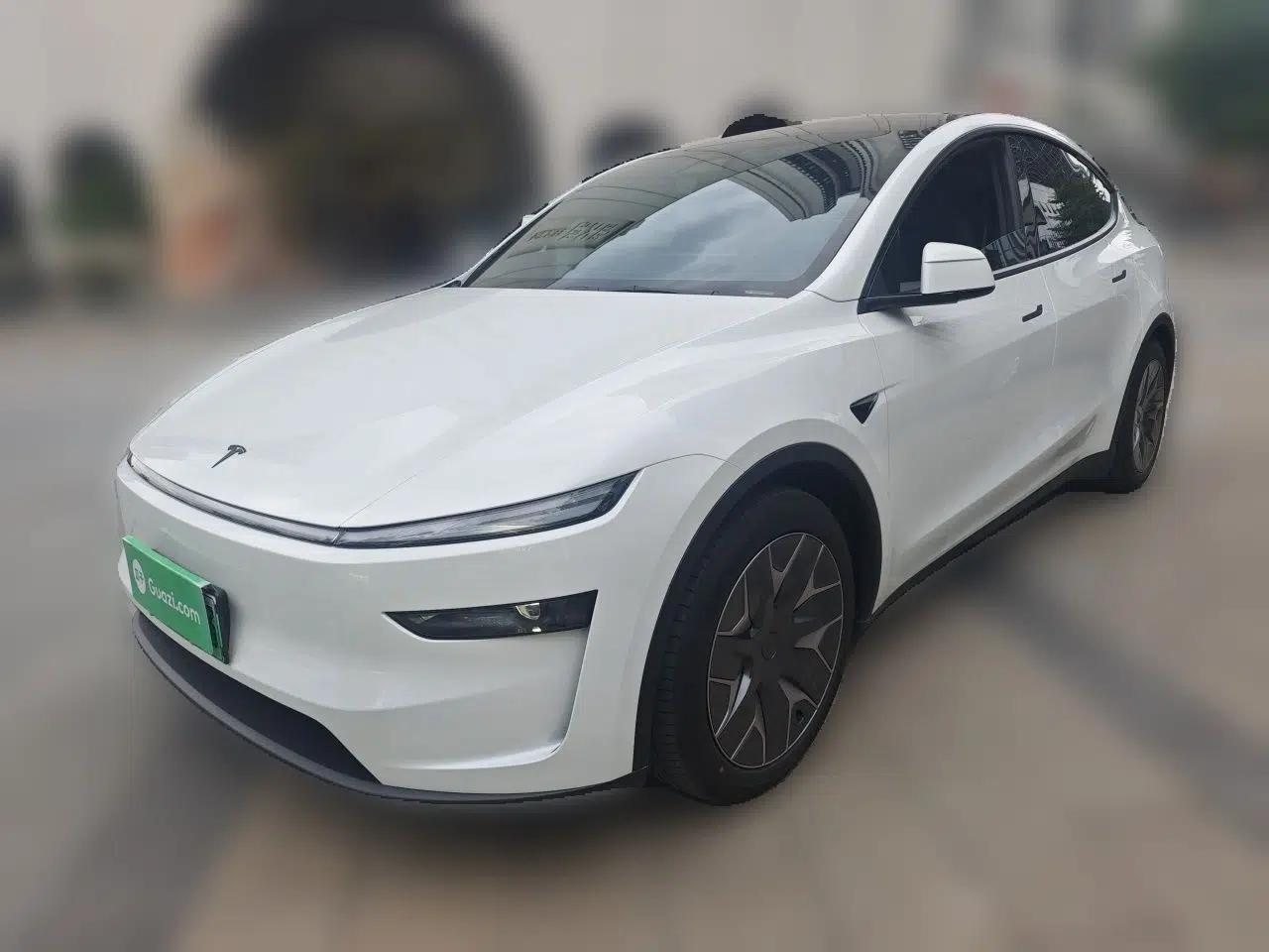 Tesla Model Y L 2025 Model Long-Range All-Wheel-Drive Version — миниатюра 1