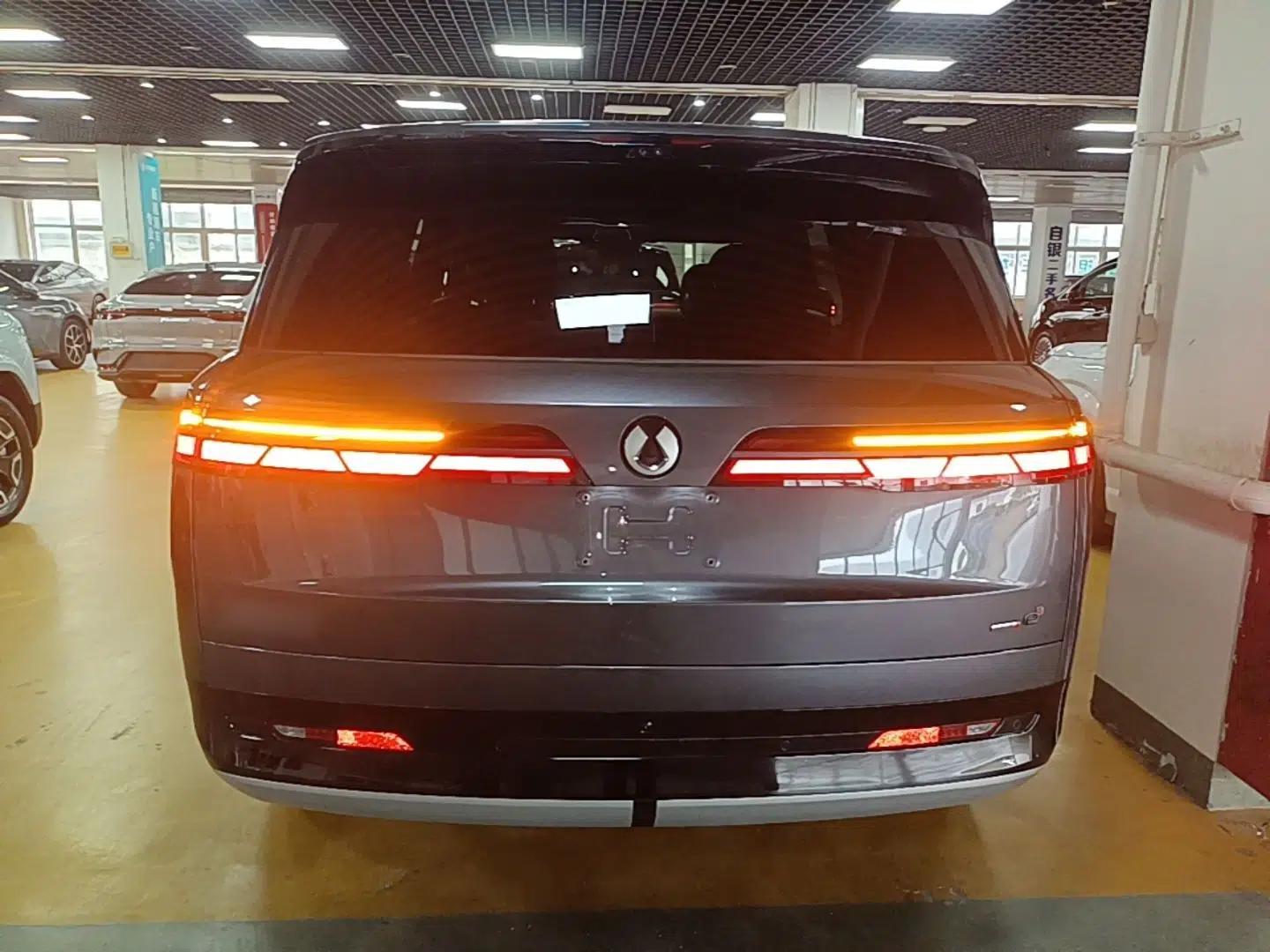 Denza N9 2025 Prestige Version — миниатюра 5