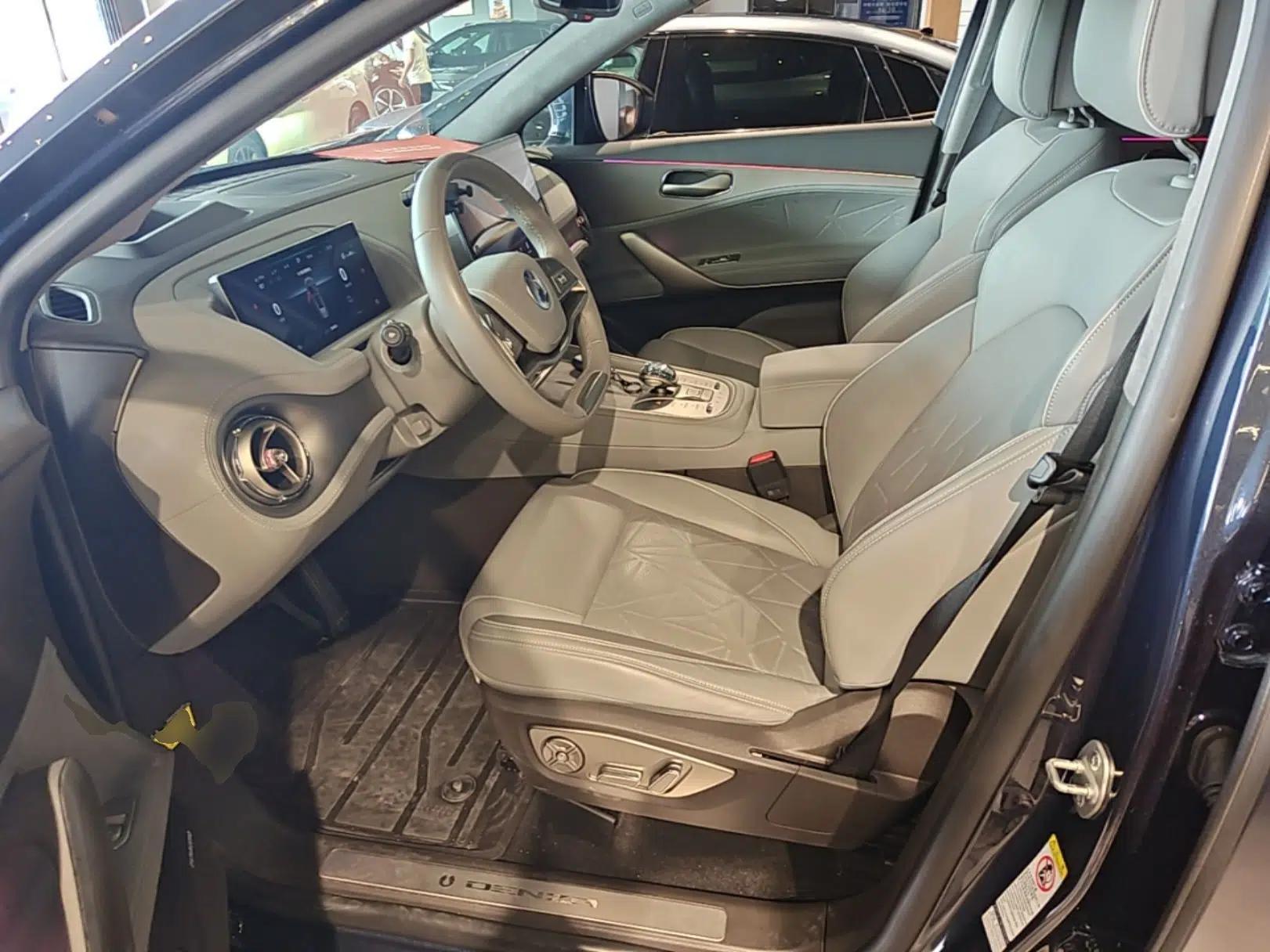 Denza N8 2023 Four-Wheel Drive Ultra-Hybrid Flagship Six-Seater Version — миниатюра 18