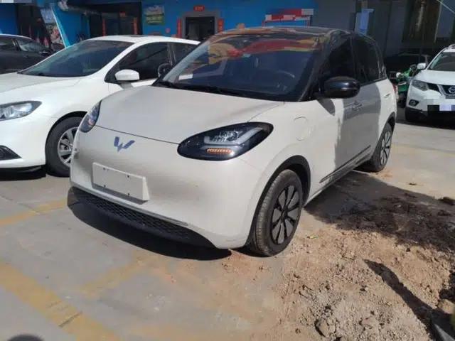 Wuling Bingo 2024 333 km Enjoyment Version
