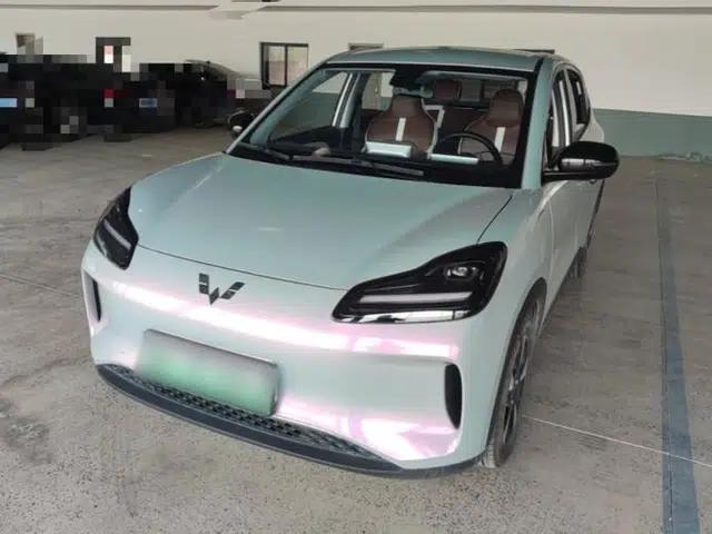 Wuling Bingo PLUS 2024 330 km Range Five-Seater Version