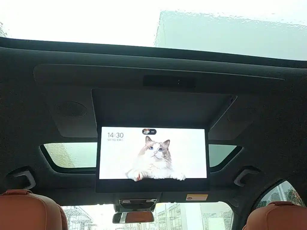 Li Auto L9 2022 Max — миниатюра 18