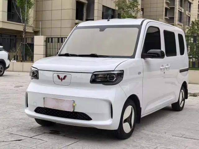 Wuling Zhiguang New Energy 2025 Standard Model