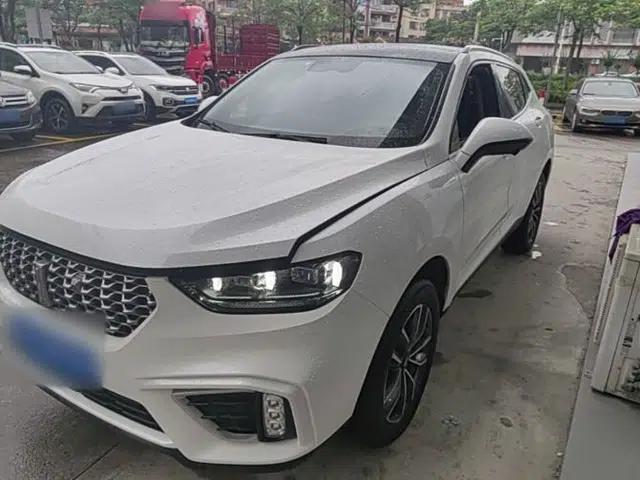 Wey VV5 2021 1.5T Two-Wheel Drive Smart Pioneer