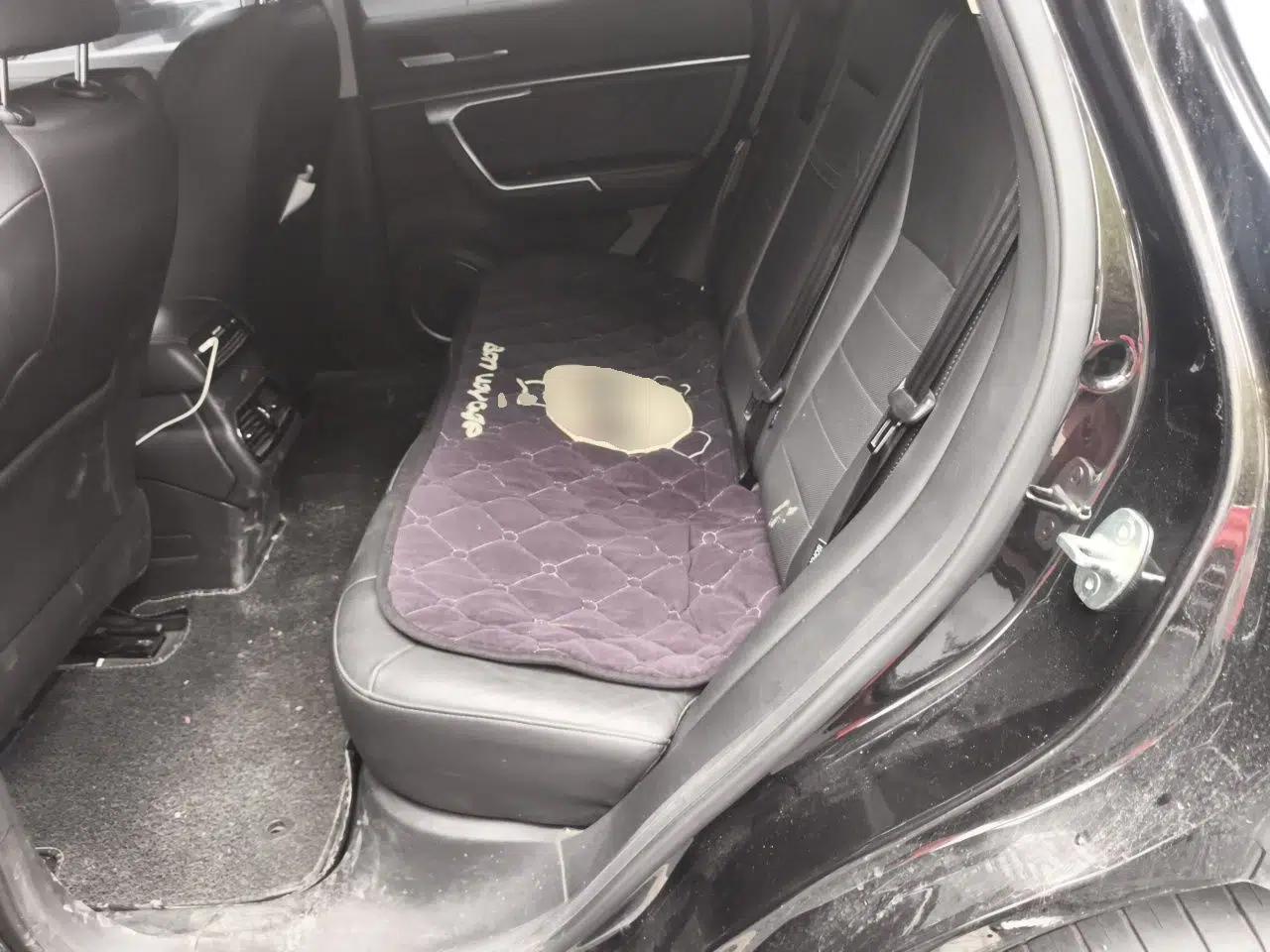 Wey VV5 2019 Upgraded Model 2.0T Two-Wheel Drive Flagship Version China VI Standard — миниатюра 18