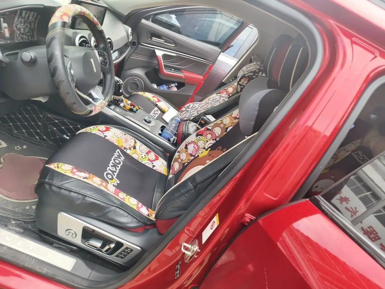 Wey VV5 2017 2.0T Flagship Edition — миниатюра 16