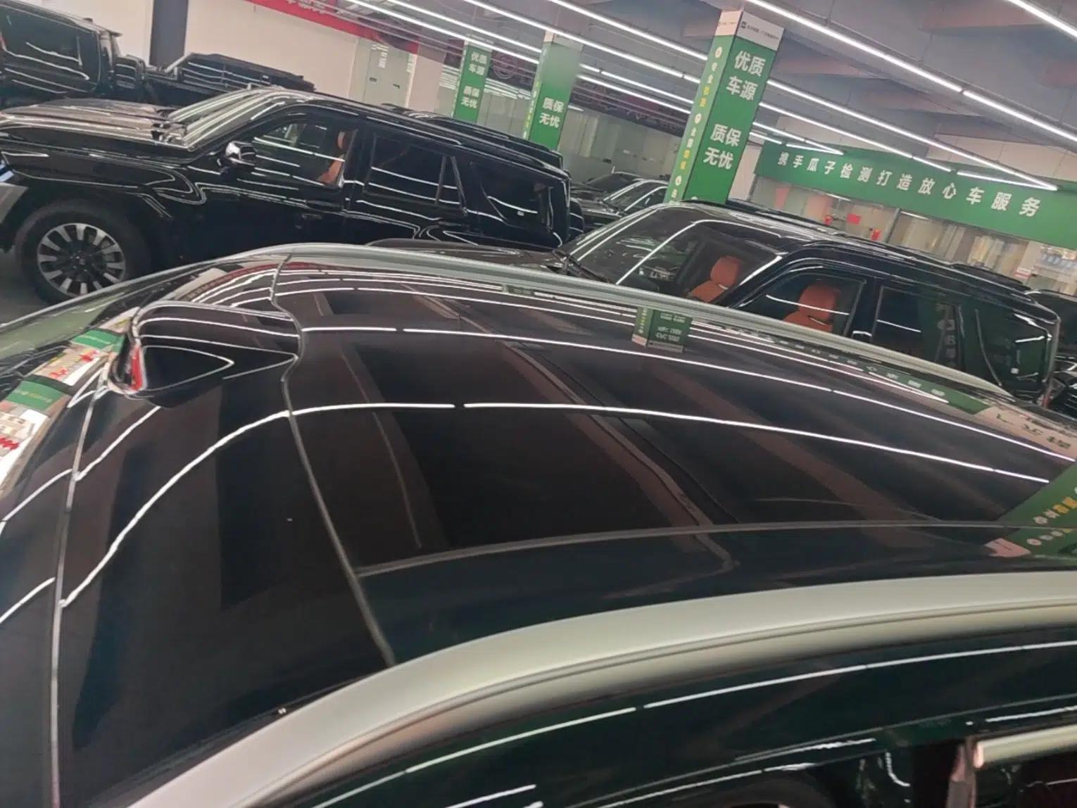 Wey Lanshan 2025 Four-Wheel Drive Max — миниатюра 11
