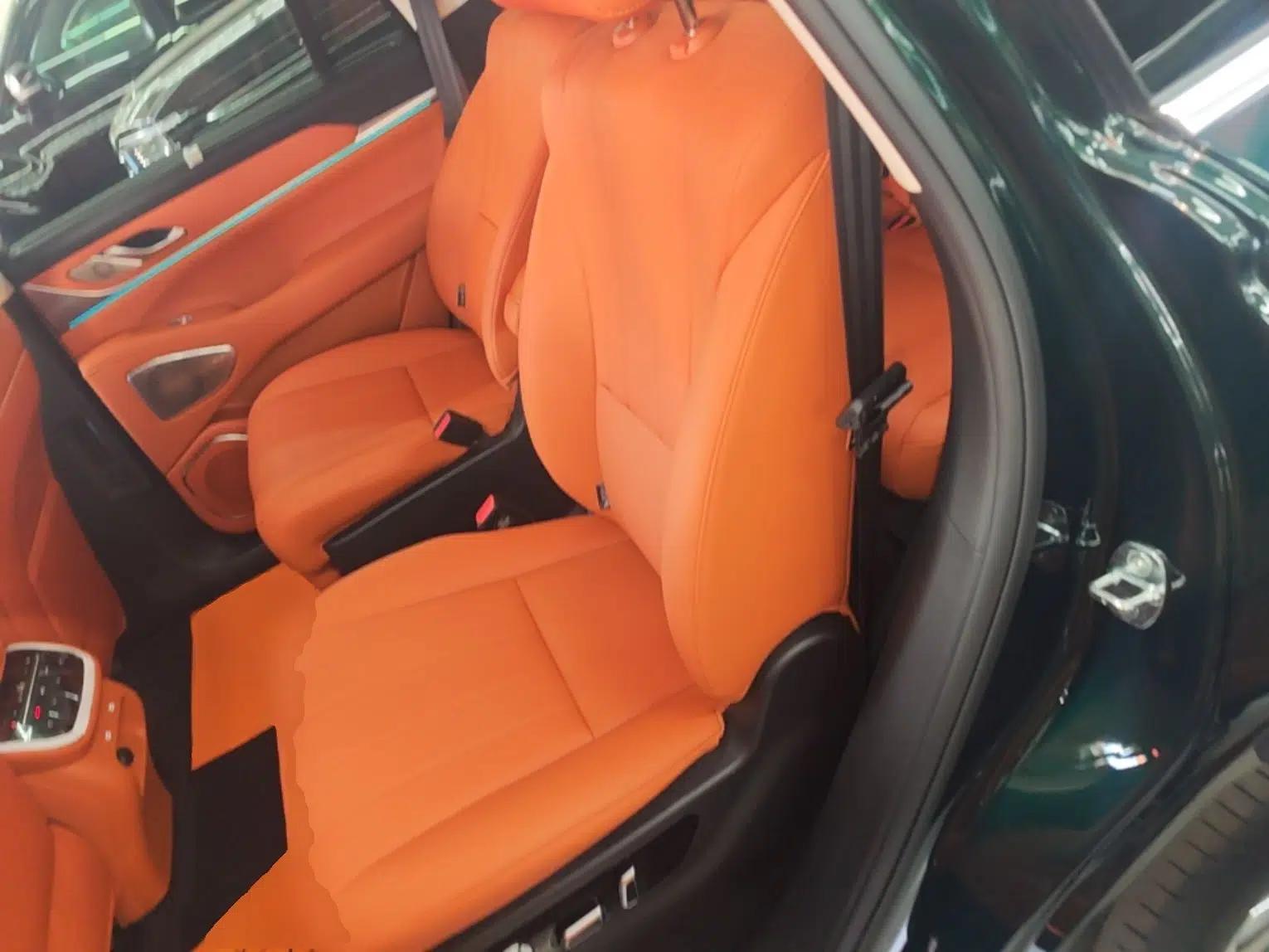 Wey Lanshan 2025 Four-Wheel Drive Max — миниатюра 20