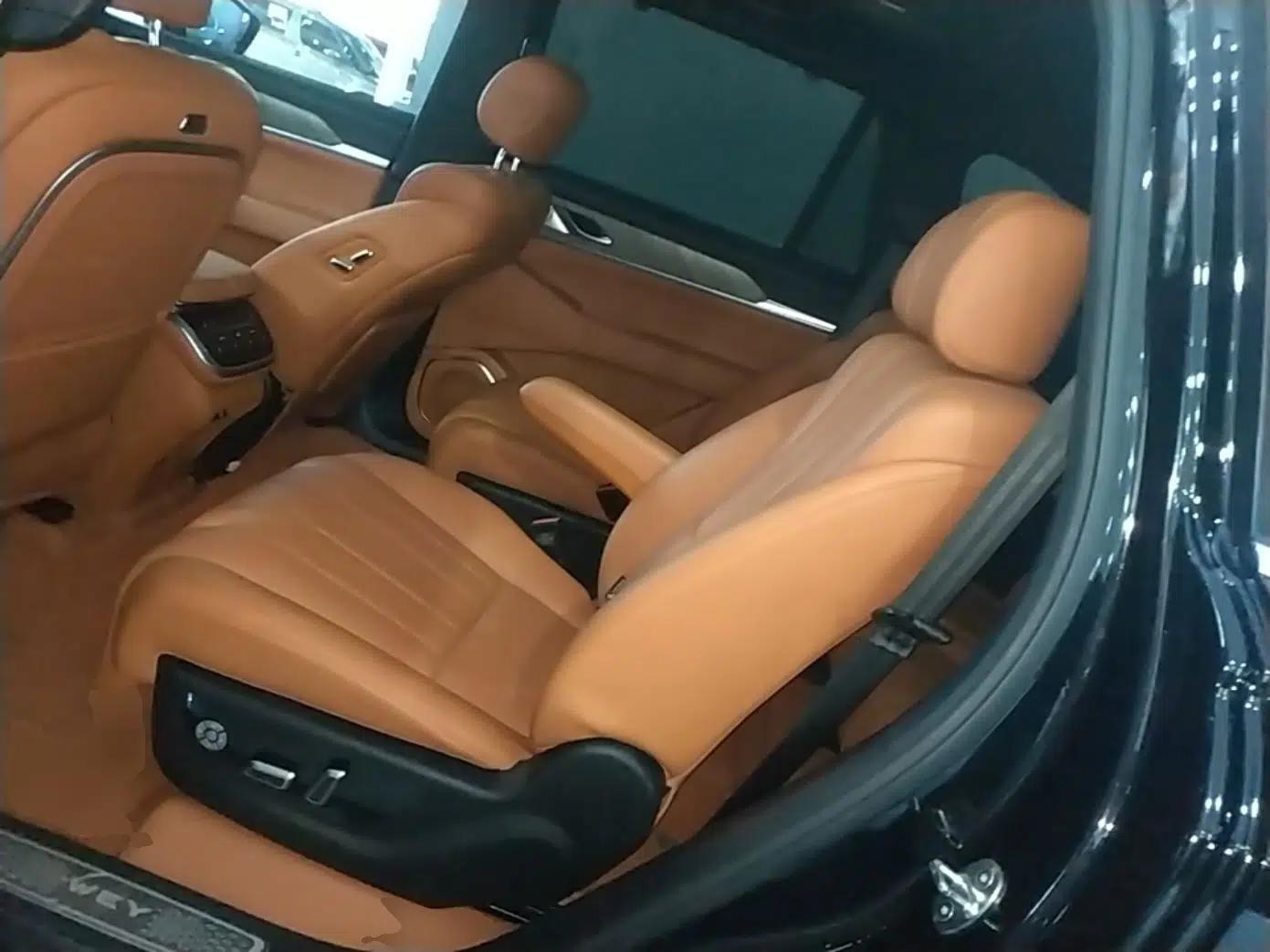 Wey Lanshan 2023 Four-Wheel Drive Ultra-Long Range Version — миниатюра 20