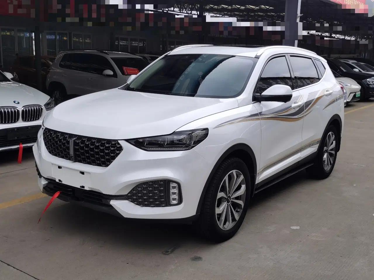 Wey VV6 2020 2.0T Two-Wheel Drive Smart Protection+ — миниатюра 1