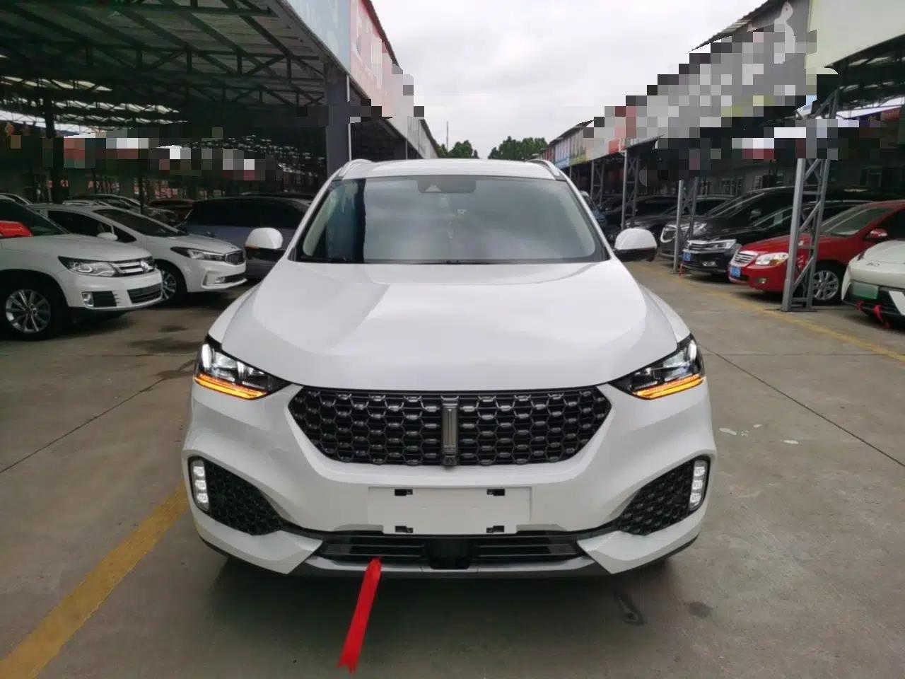 Wey VV6 2020 2.0T Two-Wheel Drive Smart Protection+ — миниатюра 2