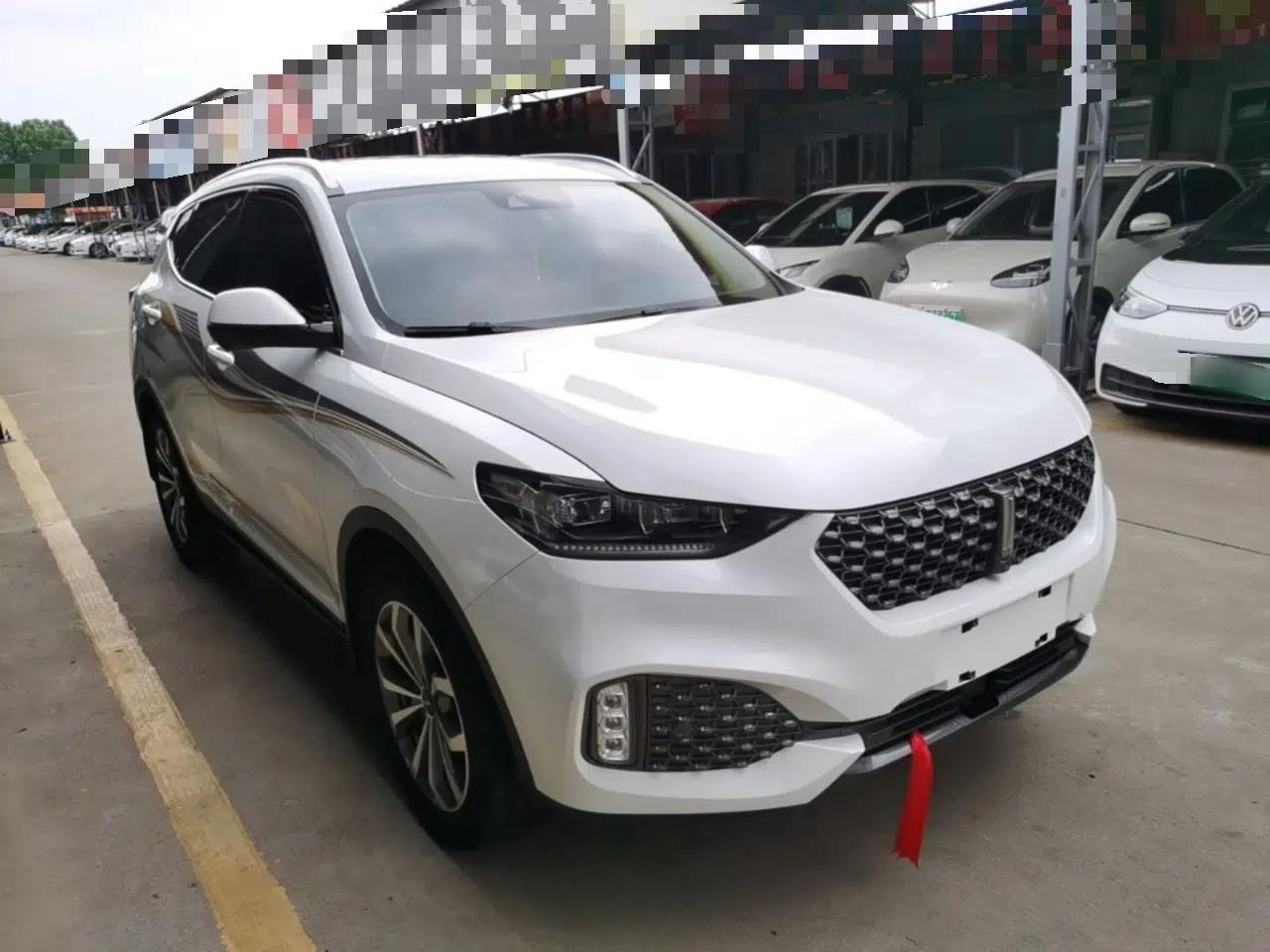 Wey VV6 2020 2.0T Two-Wheel Drive Smart Protection+ — миниатюра 3