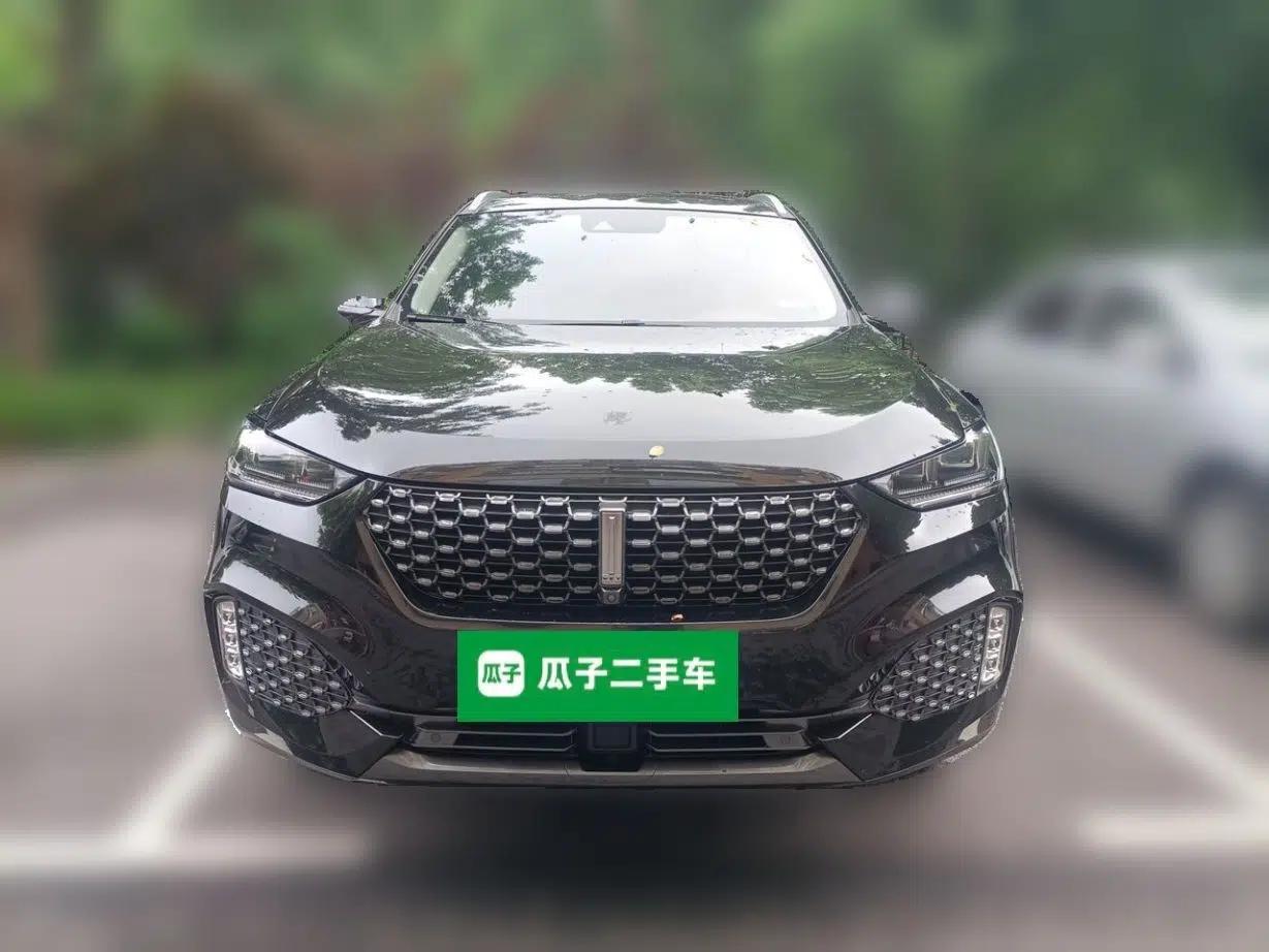 Wey VV6 2020 2.0T Two-Wheel Drive Smart Protection+ — миниатюра 2