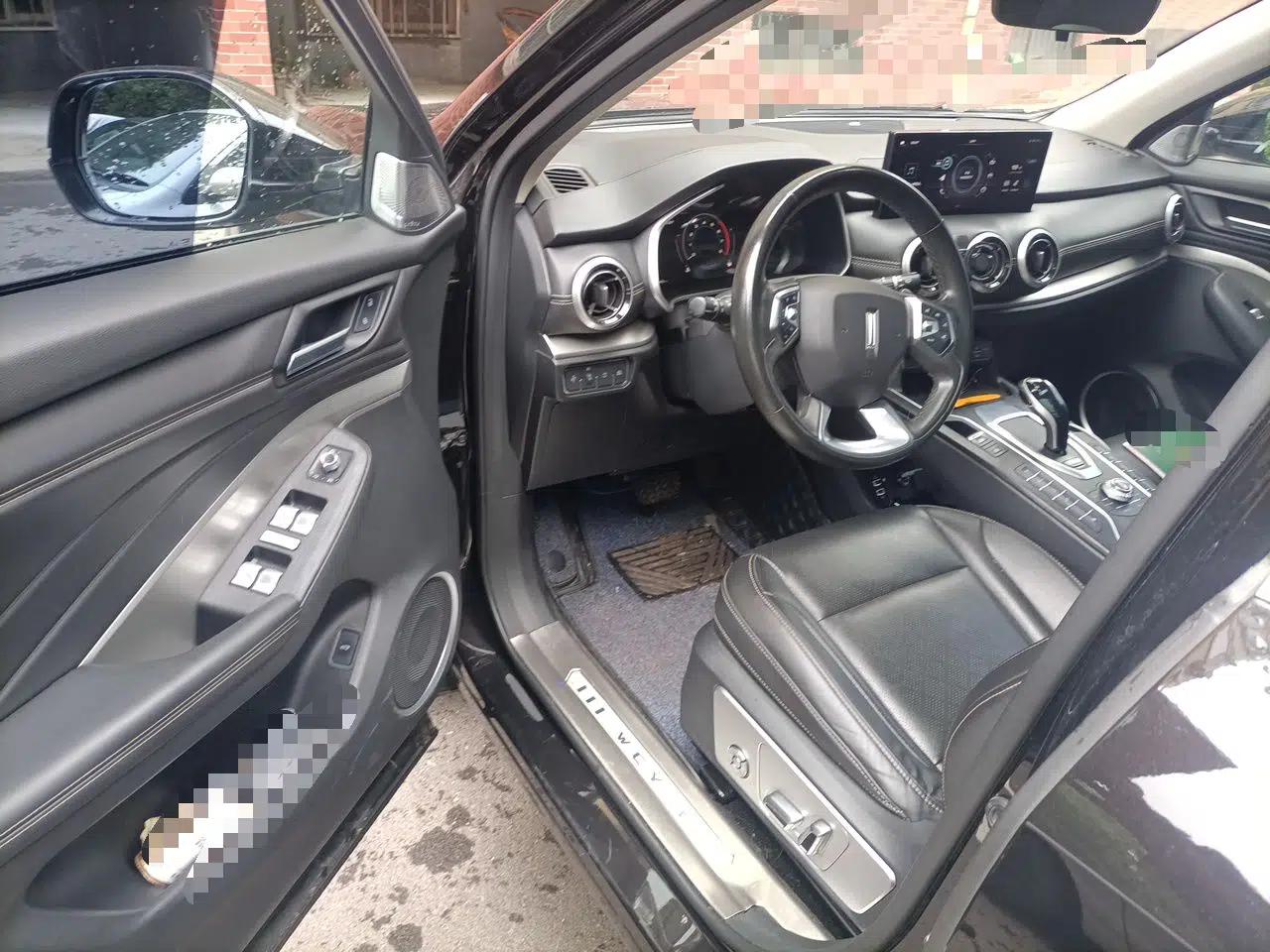 Wey VV6 2020 2.0T Two-Wheel Drive Smart Protection+ — миниатюра 17