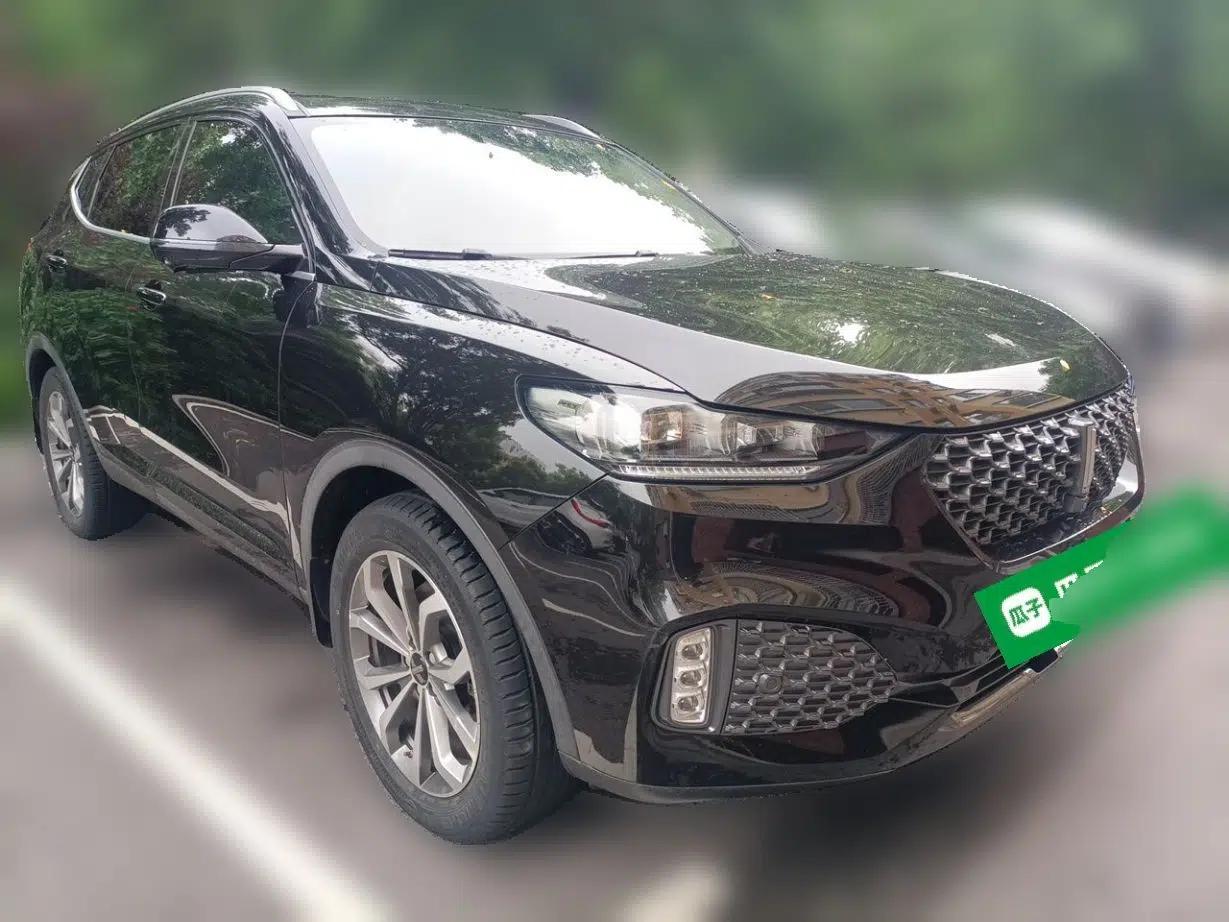 Wey VV6 2020 2.0T Two-Wheel Drive Smart Protection+ — миниатюра 3