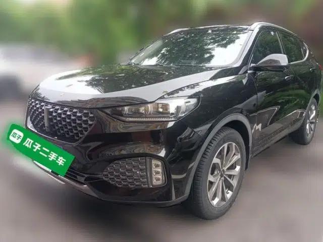 Wey VV6 2020 2.0T Two-Wheel Drive Smart Protection+