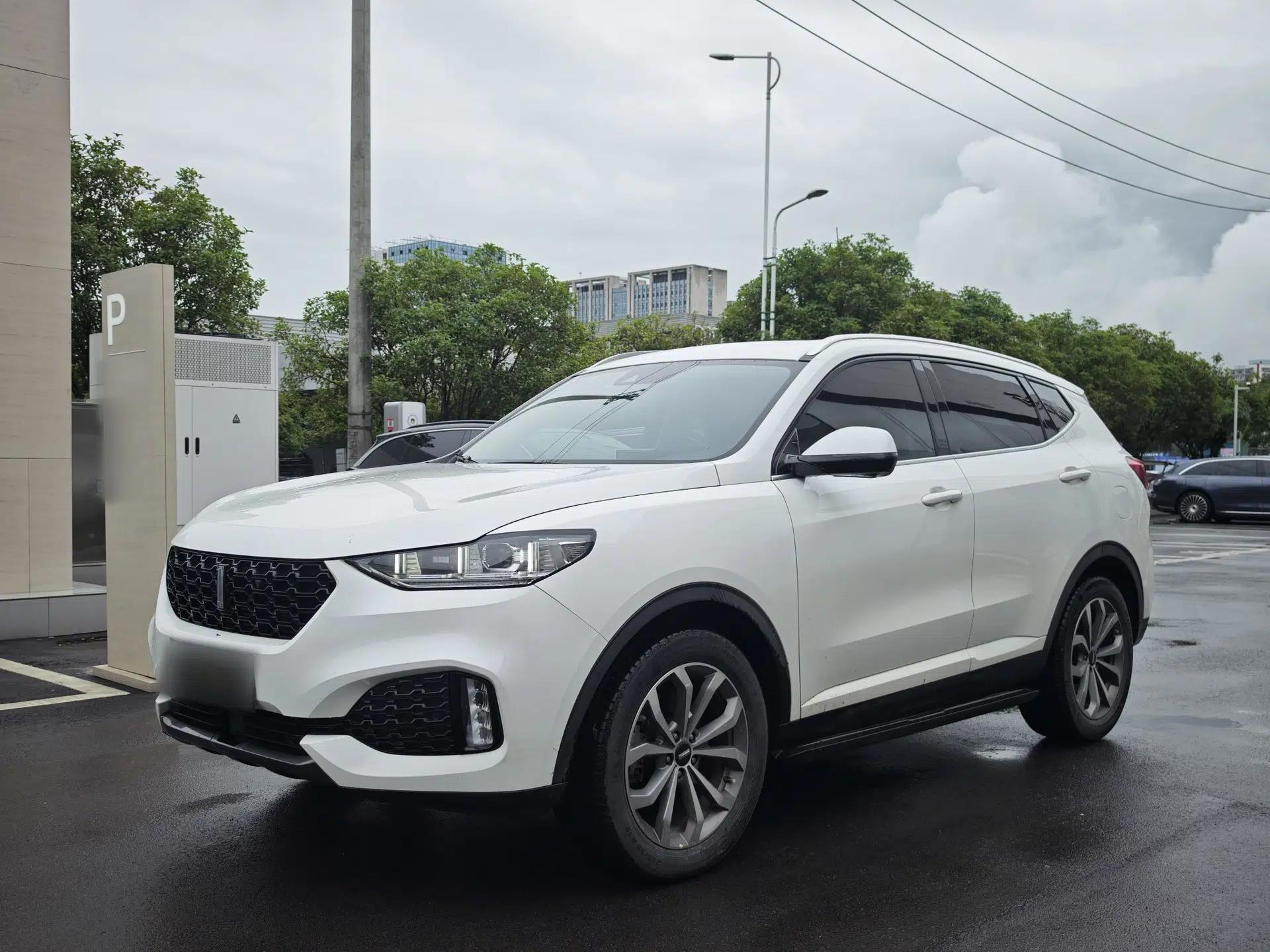 Wey VV6 2019 2.0T Two-Wheel-Drive Ultra-Luxury Version China VI Standard — миниатюра 1