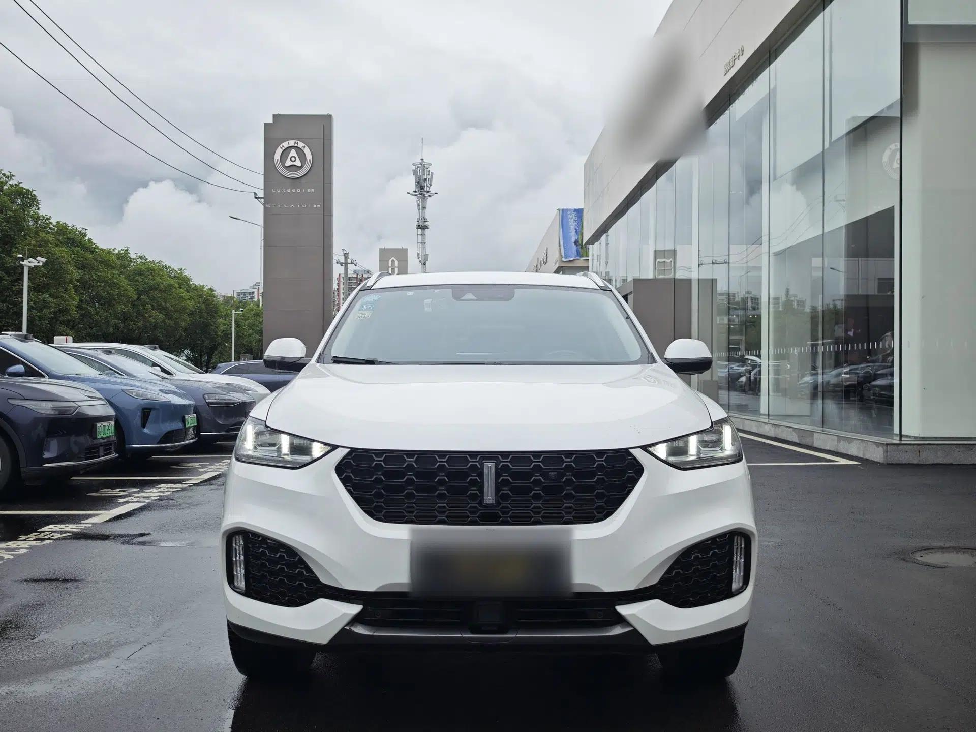 Wey VV6 2019 2.0T Two-Wheel-Drive Ultra-Luxury Version China VI Standard — миниатюра 6