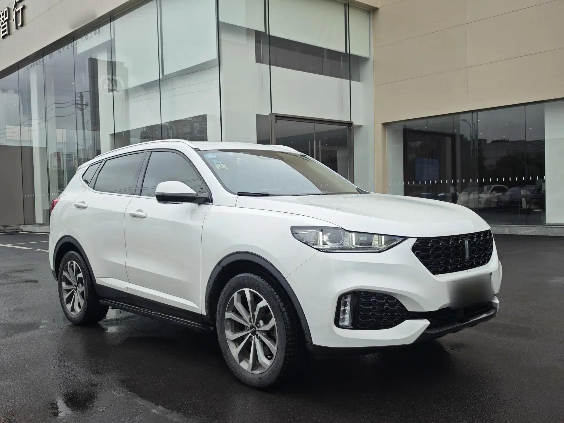Wey VV6 2019 2.0T Two-Wheel-Drive Ultra-Luxury Version China VI Standard — миниатюра 7