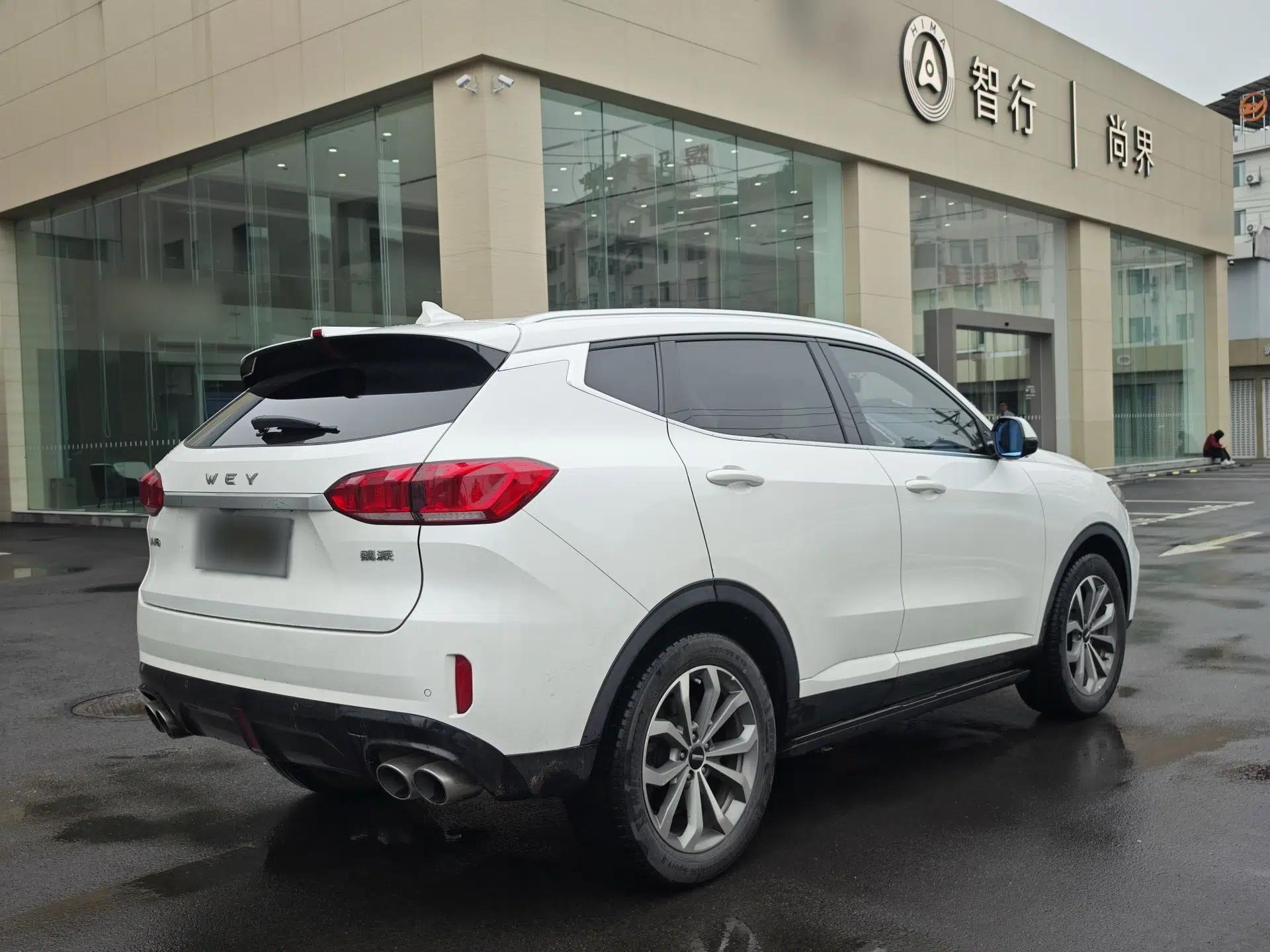 Wey VV6 2019 2.0T Two-Wheel-Drive Ultra-Luxury Version China VI Standard — миниатюра 10