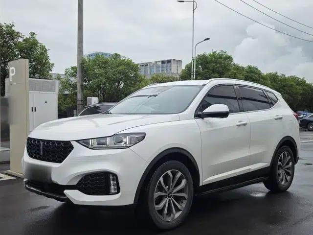 Wey VV6 2019 2.0T Two-Wheel-Drive Ultra-Luxury Version China VI Standard