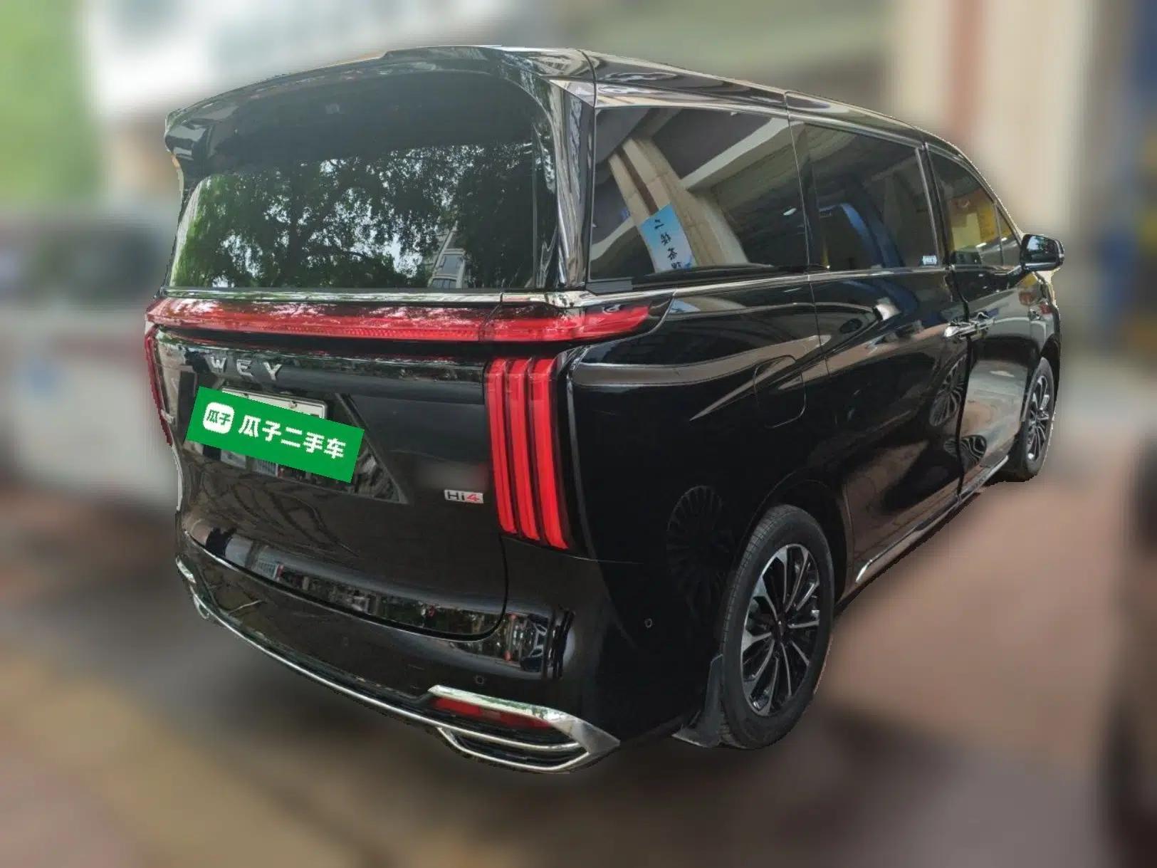 Wey Gaoshan 2025 Model Four-Wheel Drive Gao Shan 7 — миниатюра 6