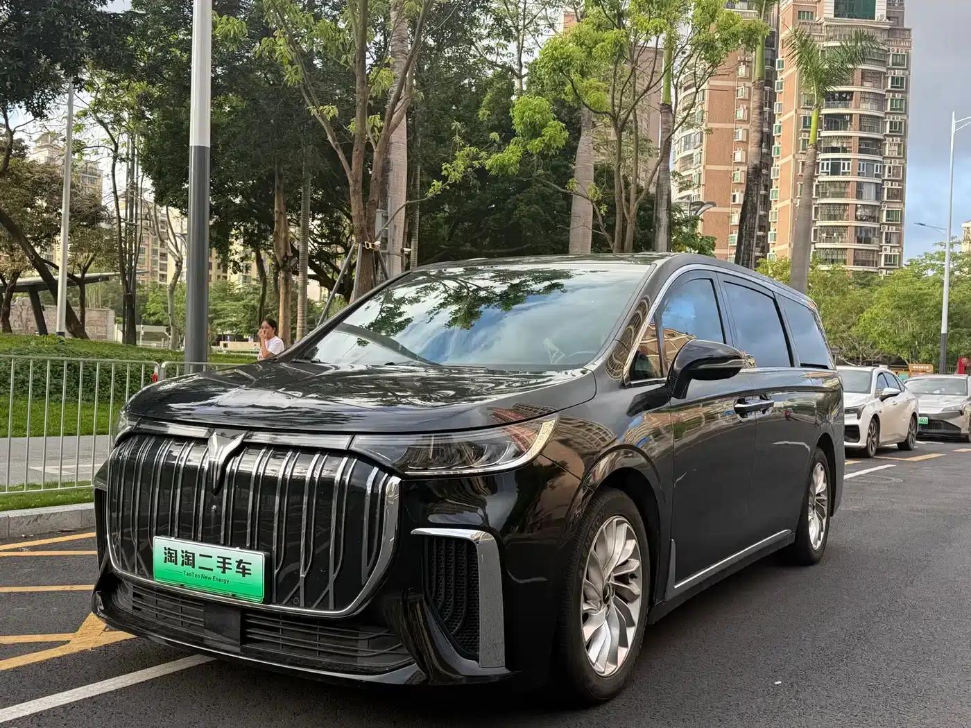 Voyah Dreamer 2024 EV Extended Range Superior Edition — миниатюра 2